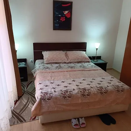 Apartment Canovic *